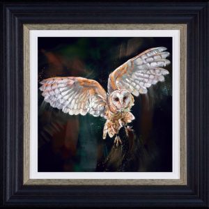 Night Flight Framed