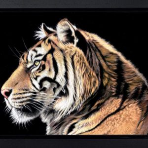 The wild Side II Framed